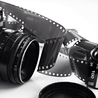 organizacion de fotos