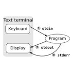 Entrada y salida básica