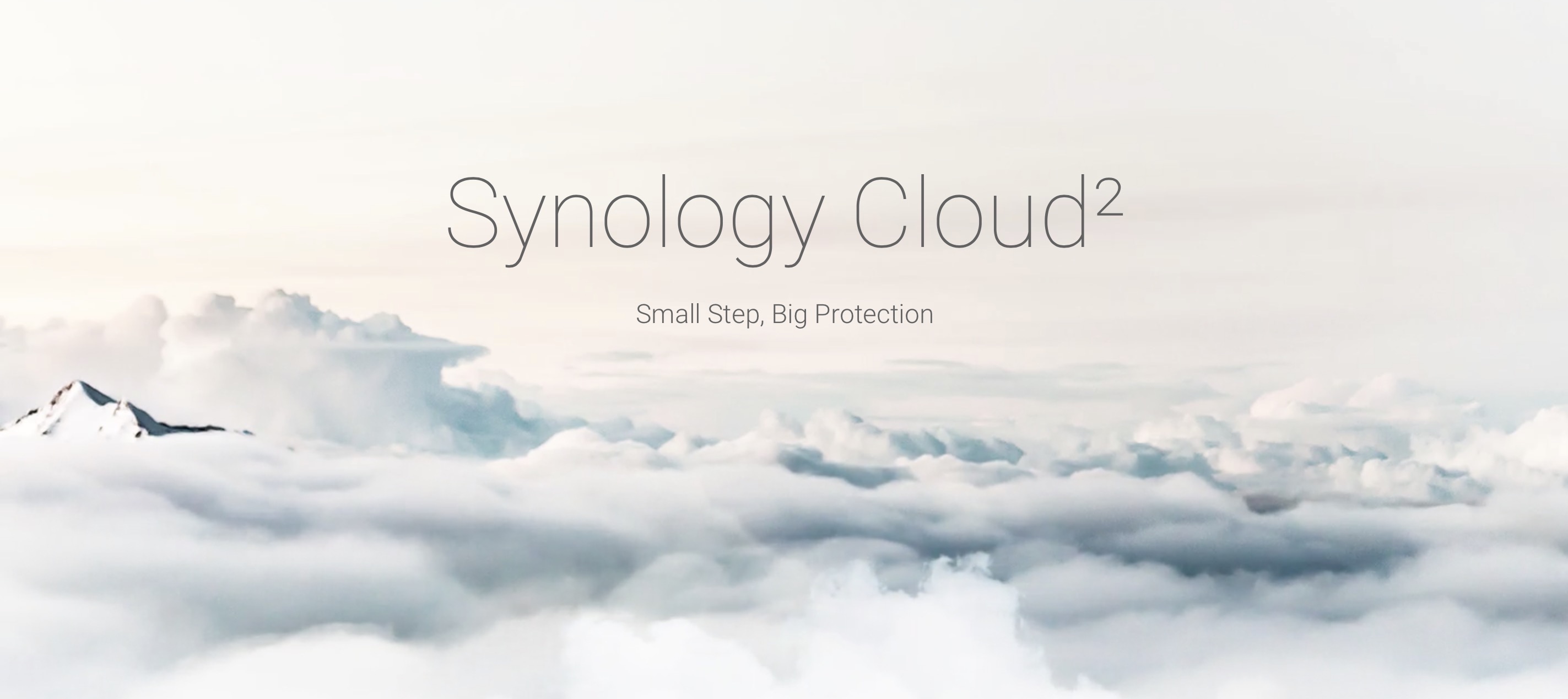 Synology C2