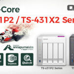 TS-x31P2