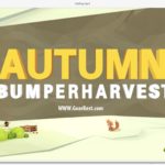 Bumper Harvest